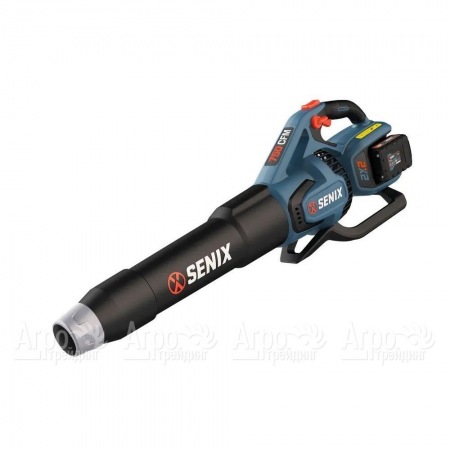Воздуходувка аккумуляторная Senix BLAX2-M2-EU во Владимире