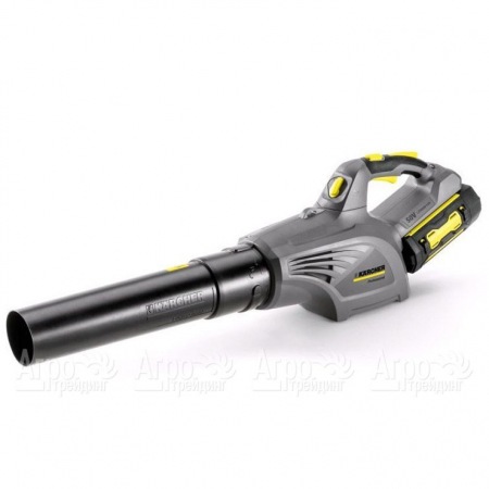 Воздуходувка аккумуляторная Karcher LB 850 Bp во Владимире